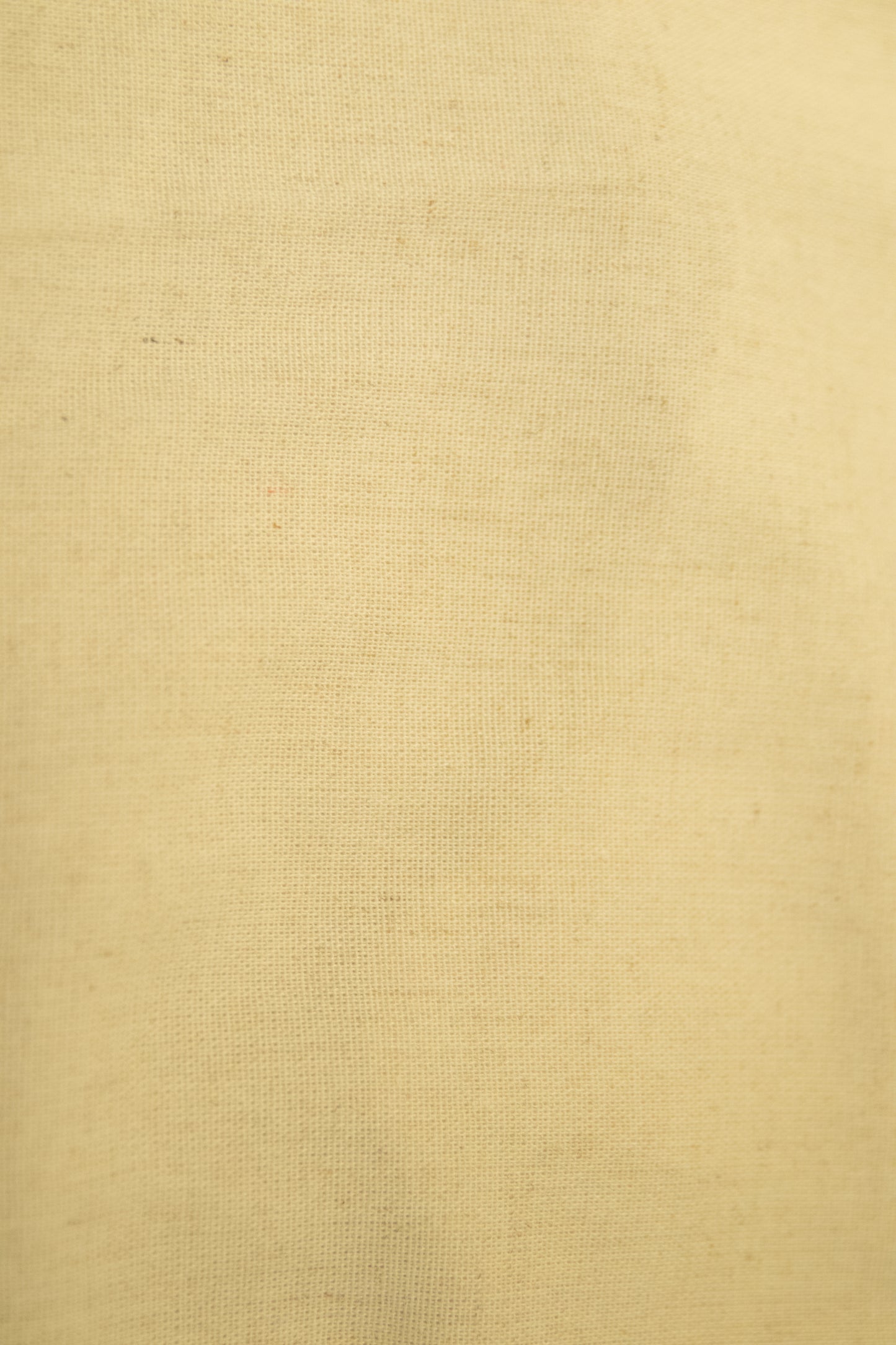 Pantalón de lino (Arena)