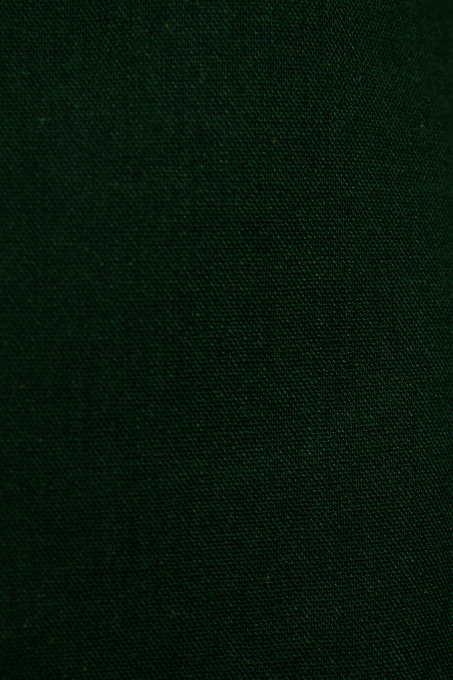 Pantalón de lino (Verde)